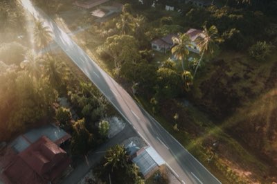 Top 10 Directors: Understanding Industry Style Trends